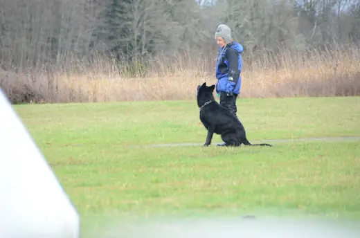 Handler and black German Shepherd practicing a controlled position at the 2012 Cascade Schutzhund trial — photo 01