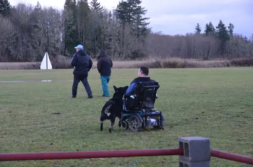 RVSC members and working dogs on the field at the 2012 Cascade Schutzhund trial — photo 01