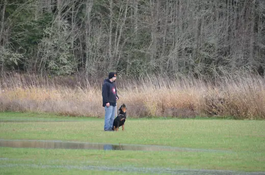 Working dog and handler completing obedience at the 2012 Cascade Schutzhund trial — photo 02