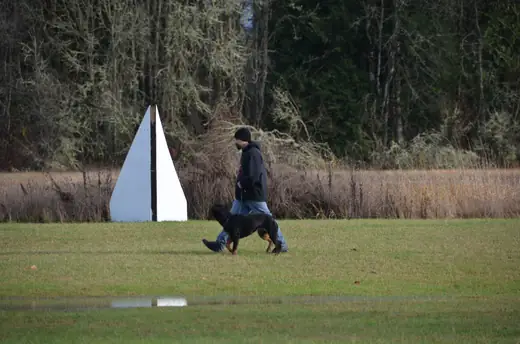 Working dog and handler completing obedience at the 2012 Cascade Schutzhund trial — photo 03