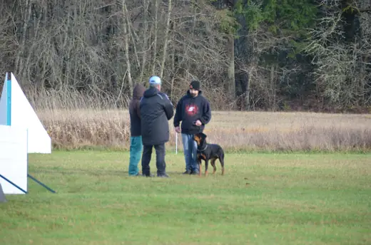 Working dog and handler completing obedience at the 2012 Cascade Schutzhund trial — photo 06