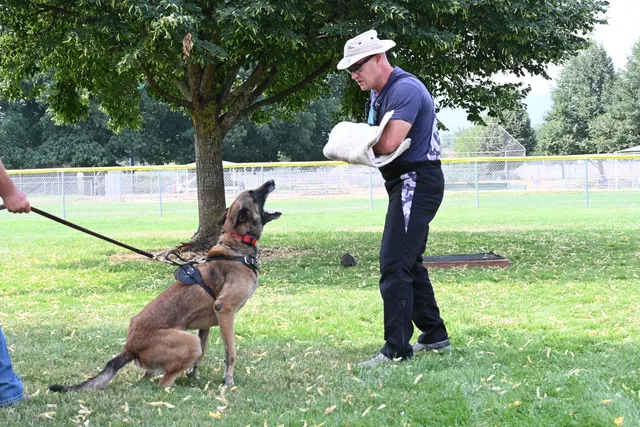 Chris Campbell Schutzhund Seminar 2021 — a black working dog arriving at the Schutzhund blind — photo 17