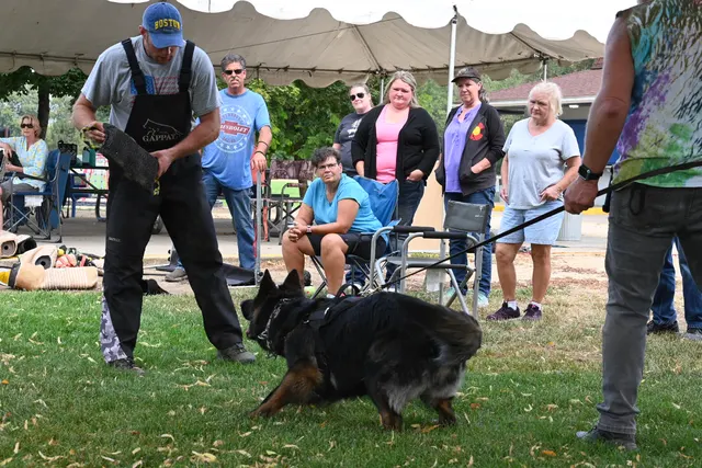 Chris Campbell Schutzhund Seminar 2021 — a black working dog gripping the bite sleeve during protection work — photo 20
