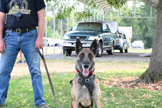 Chris Campbell Schutzhund Seminar 2021 — a black working dog running across the seminar field toward the blind — photo 16