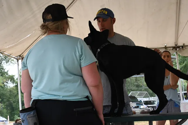 Chris Campbell Schutzhund Seminar 2021 — a black working dog maintaining grip while the helper supports the exercise — photo 21