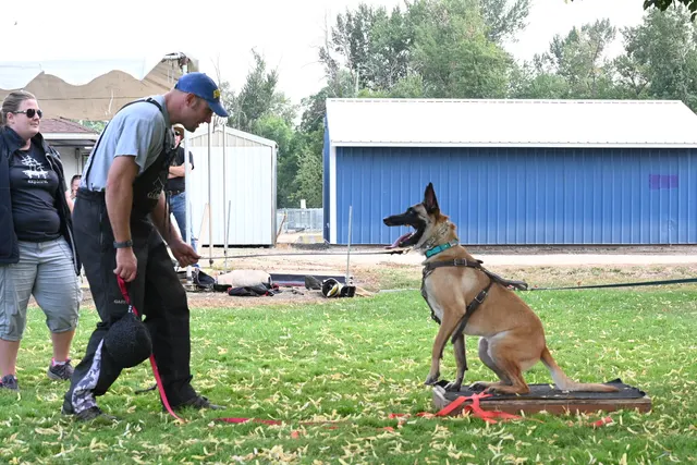 Chris Campbell Schutzhund Seminar 2021 — a black working dog and handler practicing position and control — photo 13