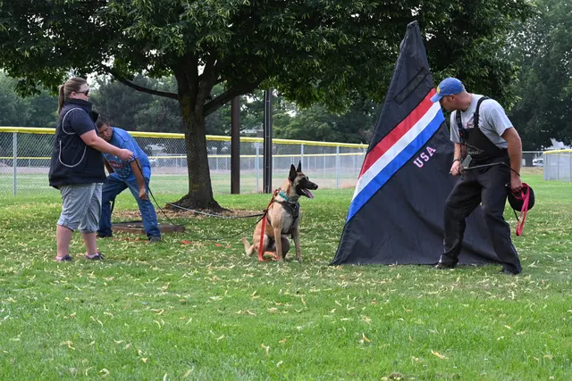 Chris Campbell Schutzhund Seminar 2021 — a black working dog positioned on a training table under the seminar tent — photo 12