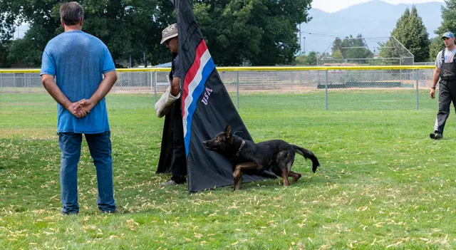 Chris Campbell Schutzhund Seminar 2021 — a handler working a Belgian Malinois while receiving coaching — photo 02