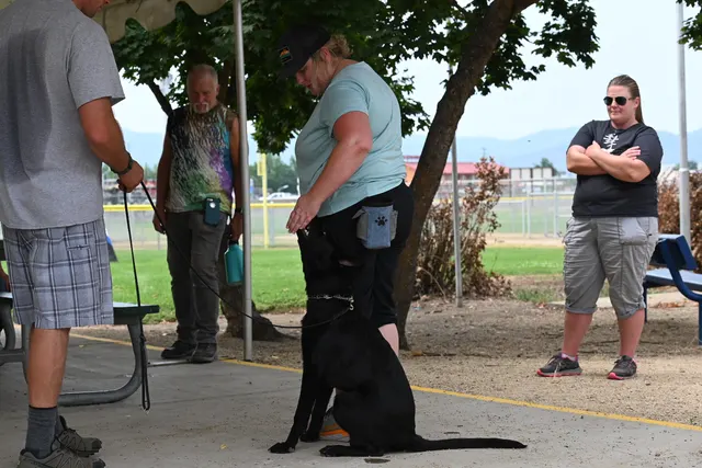 Chris Campbell Schutzhund Seminar 2021 — a Belgian Malinois puppy developing bite and grip foundations — photo 22