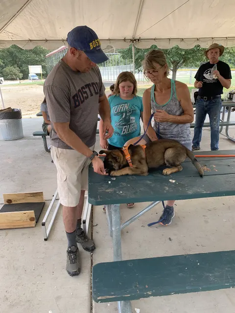 Chris Campbell Schutzhund Seminar 2021 — a Belgian Malinois puppy moving confidently with the tug during seminar training — photo 24