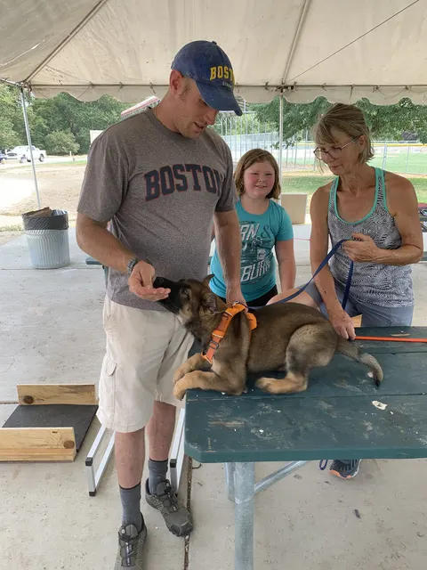Chris Campbell Schutzhund Seminar 2021 — a Belgian Malinois puppy engaging a tug during foundation work — photo 23