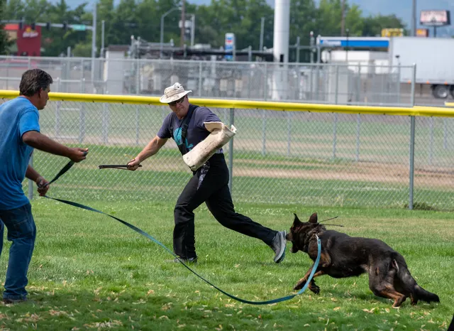 Chris Campbell Schutzhund Seminar 2021 — seminar participants visiting together between training sessions — photo 05