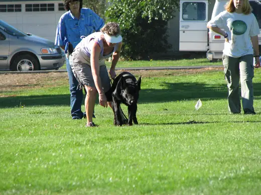 German Shepherd and handler practicing obedience during RVSC club training in 2007 — photo 02