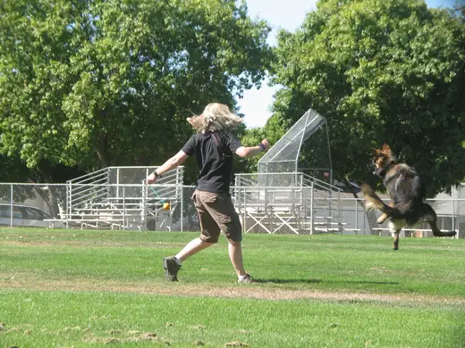 German Shepherd and handler practicing obedience during RVSC club training in 2007 — photo 03