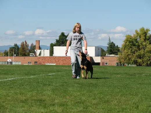 German Shepherd and handler practicing obedience during RVSC club training in 2007 — photo 05