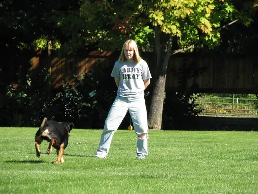 German Shepherd and handler practicing obedience during RVSC club training in 2007 — photo 06