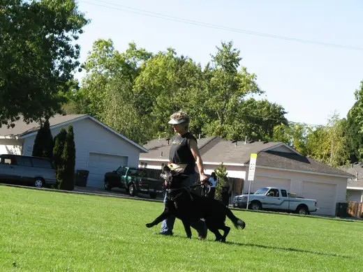 German Shepherd and handler practicing obedience during RVSC club training in 2007 — photo 07