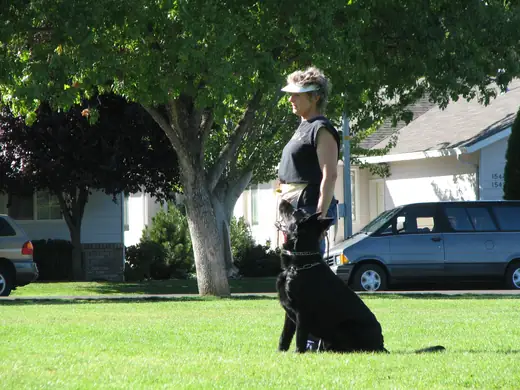 German Shepherd and handler practicing obedience during RVSC club training in 2007 — photo 08