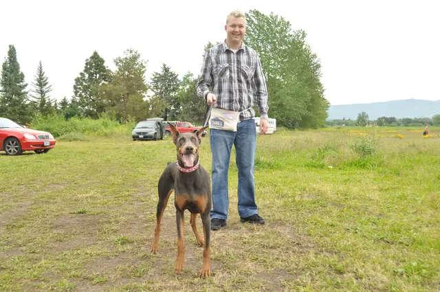 Dog and handler work during RVSC club training in June 2011 — photo 02
