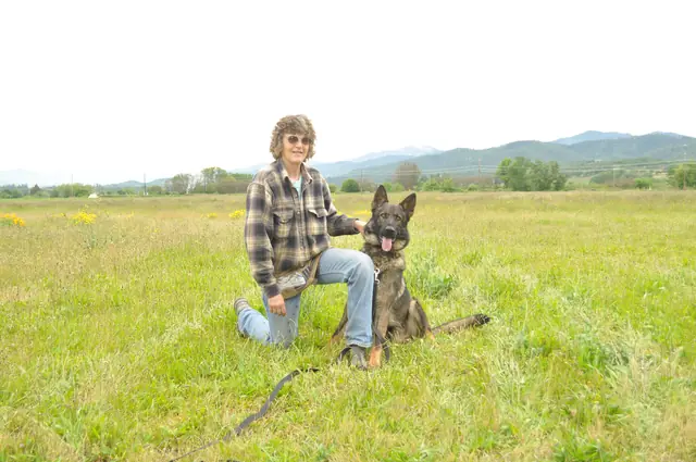 Dog and handler work during RVSC club training in June 2011 — photo 13