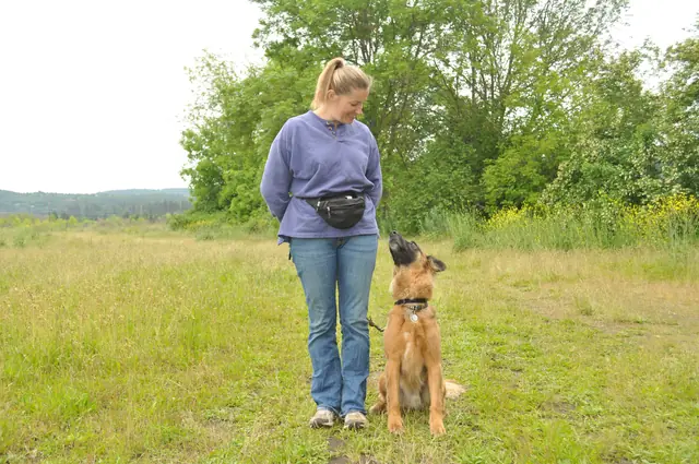 Dog and handler work during RVSC club training in June 2011 — photo 21