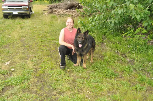 Dog and handler work during RVSC club training in June 2011 — photo 28