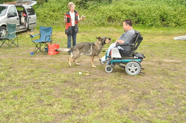 Dog and handler work during RVSC club training in June 2011 — photo 30