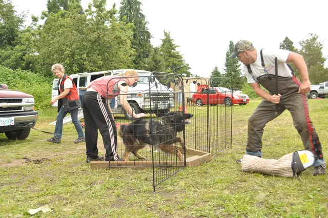 Protection foundation training during the June 2011 RVSC club day — photo 01