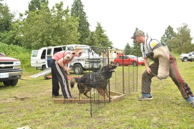 Protection foundation training during the June 2011 RVSC club day — photo 02