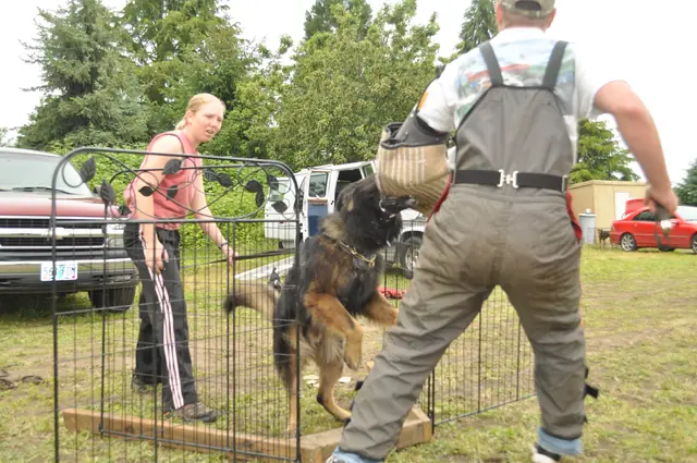 Protection foundation training during the June 2011 RVSC club day — photo 03