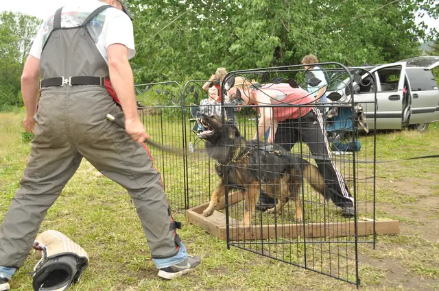 Protection foundation training during the June 2011 RVSC club day — photo 05