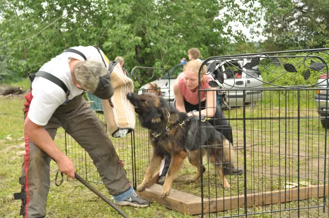Protection foundation training during the June 2011 RVSC club day — photo 06