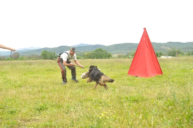 Protection foundation training during the June 2011 RVSC club day — photo 11