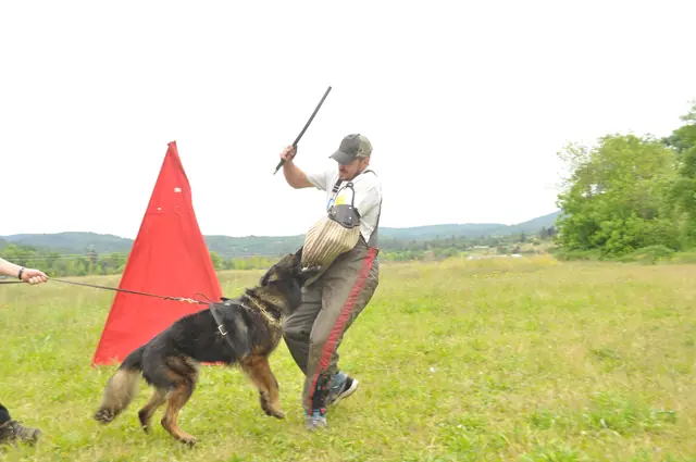 Protection foundation training during the June 2011 RVSC club day — photo 12