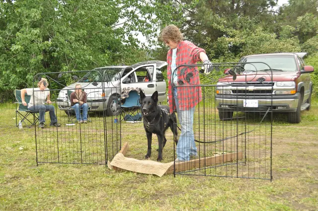 Protection foundation training during the June 2011 RVSC club day — photo 13