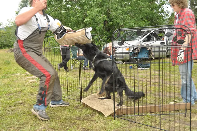 Protection foundation training during the June 2011 RVSC club day — photo 14