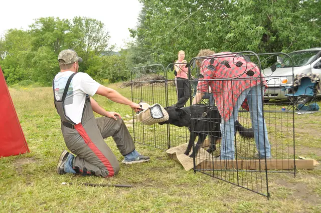 Protection foundation training during the June 2011 RVSC club day — photo 15