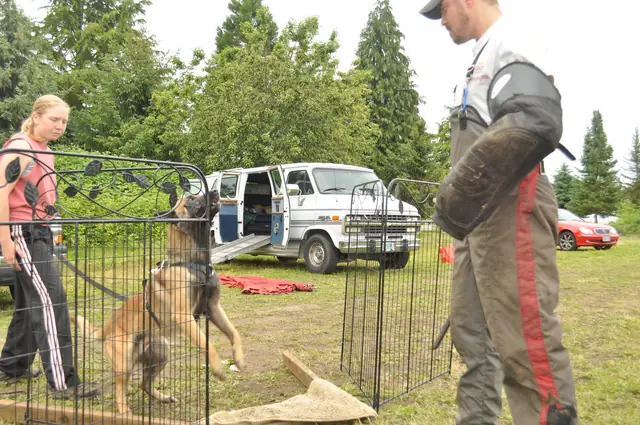 Protection foundation training during the June 2011 RVSC club day — photo 18