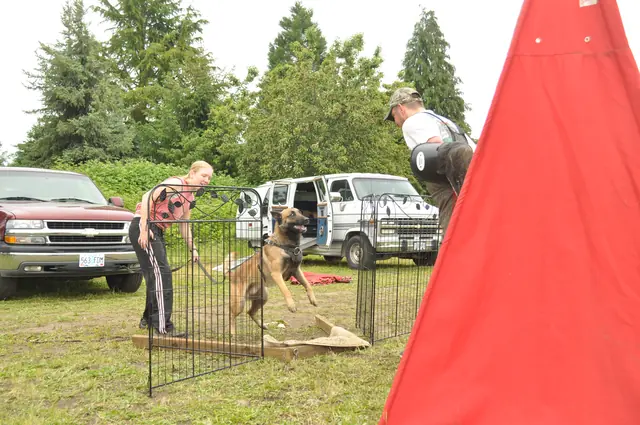 Protection foundation training during the June 2011 RVSC club day — photo 19