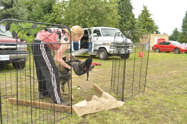 Protection foundation training during the June 2011 RVSC club day — photo 20