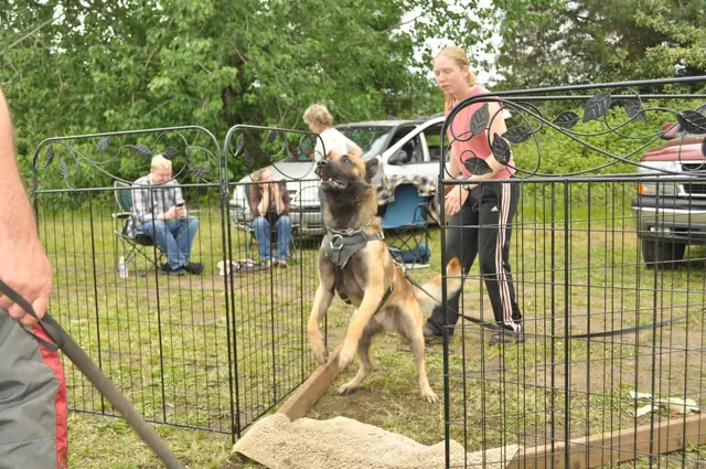 Protection foundation training during the June 2011 RVSC club day — photo 21