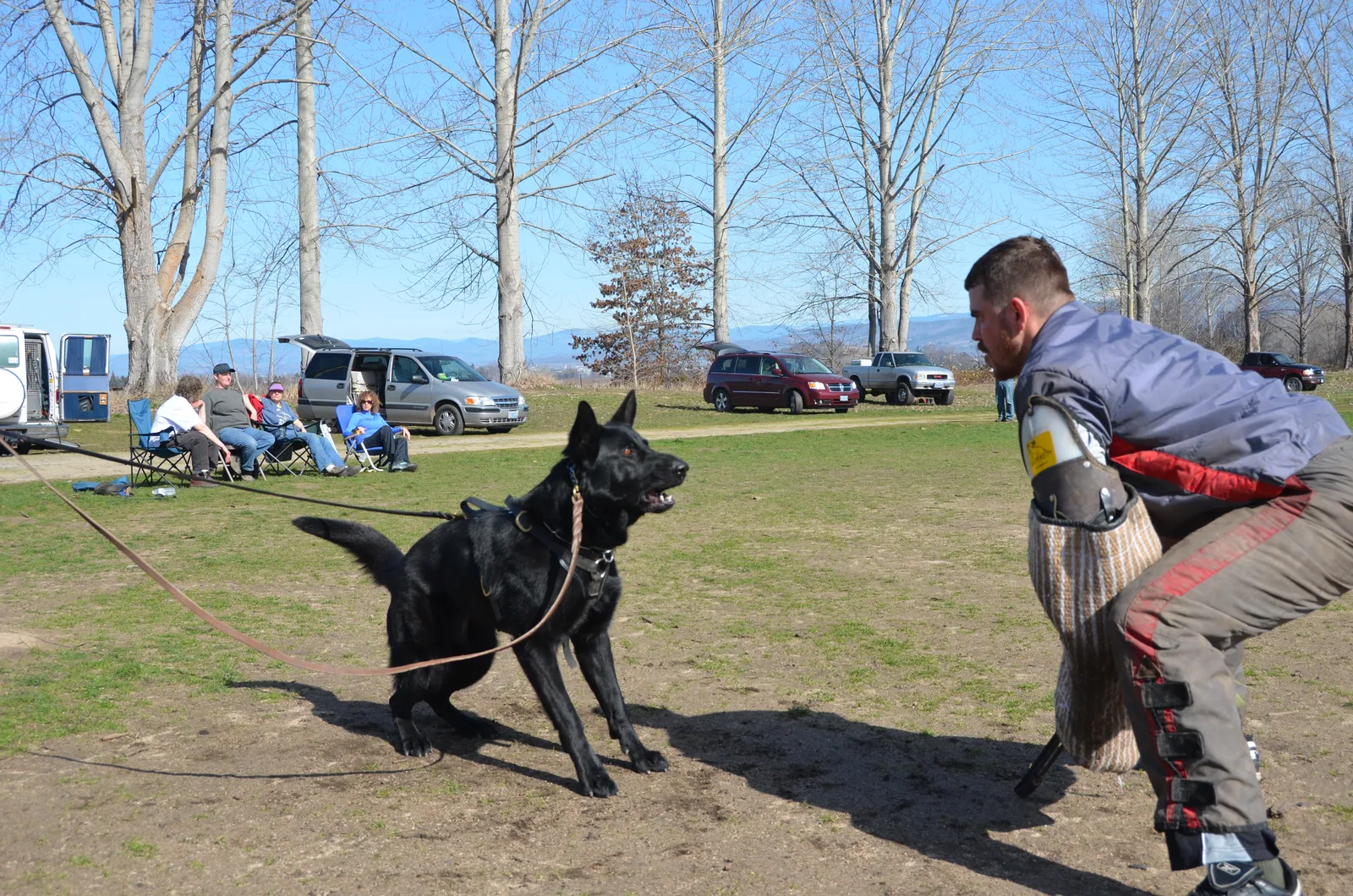 Historical 2012 Rogue Valley Schutzhund Club working-dog training