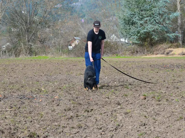 Working dog and handler during RVSC 2012 club training — photo 05
