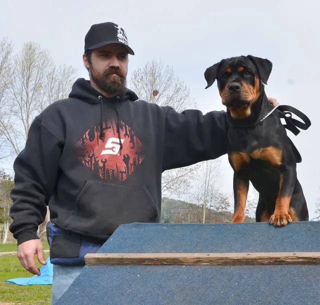 Working dog and handler during RVSC 2012 club training — photo 10