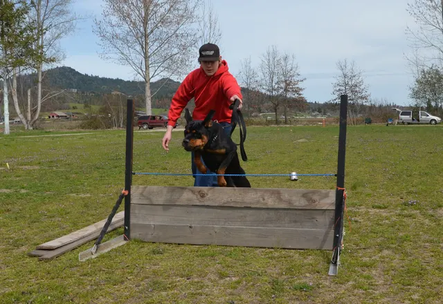 Working dog and handler during RVSC 2012 club training — photo 11