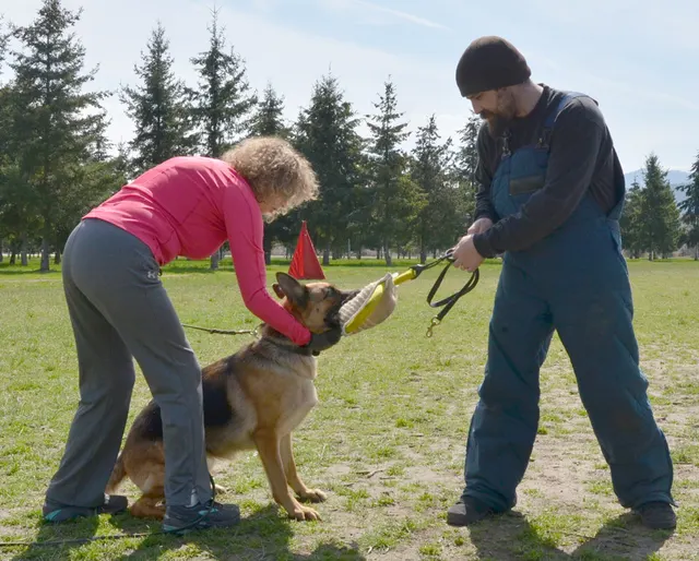 Working dog and handler during RVSC 2012 club training — photo 14