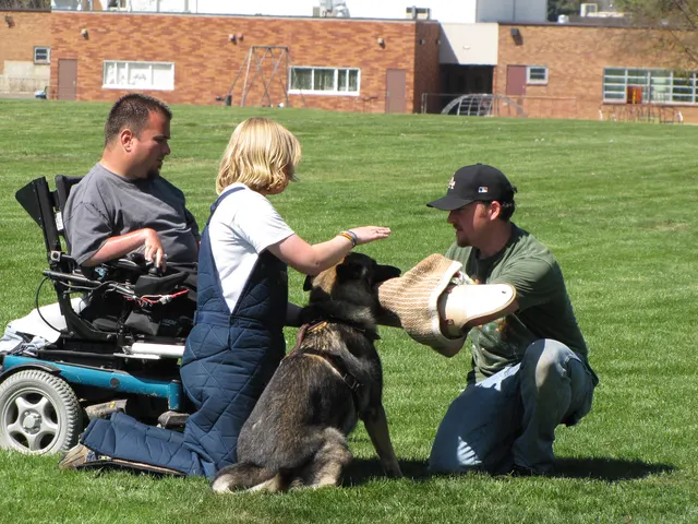 Working dog and handler during RVSC April 18, 2009 club training — photo 09