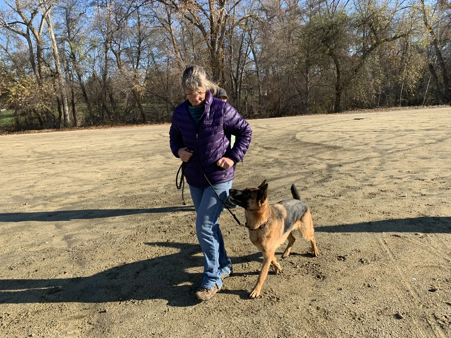Working dog and handler practicing obedience during RVSC club training on December 5, 2018 — photo 01
