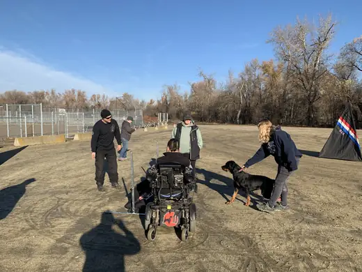 RVSC club members and working dogs gathered during training on December 5, 2018 — photo 01