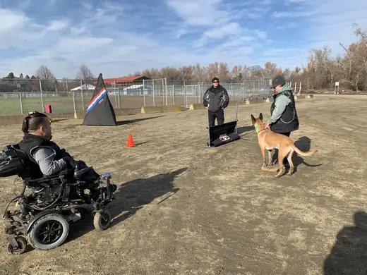 Working dog practicing controlled handler engagement during RVSC club training on December 5, 2018 — photo 01